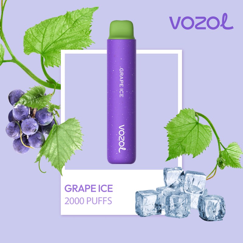 VOZOL 2000 PUFF