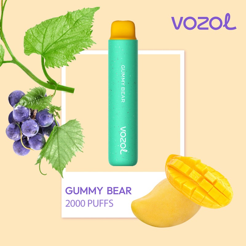 VOZOL 2000 PUFF