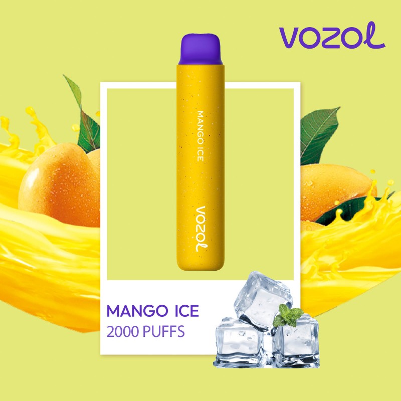 VOZOL 2000 PUFF